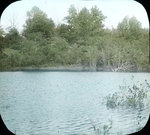 Waterfowl Pond, Amston, Connecticut by Herbert Keightley Job