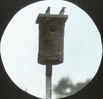 Pair of Bluebirds, Perry Box, Amston, Connecticut by Herbert Keightley Job