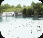 Waterfowl House and Pond, Amston, Connecticut by Herbert Keightley Job