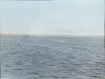 Blue Geese [Snow Geese], and C. [Company?] off Mouth [of] Mississippi River, Louisiana by Herbert Keightley Job