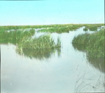 Rush Lake, North Dakota, Where Ducks Breed by Herbert Keightley Job